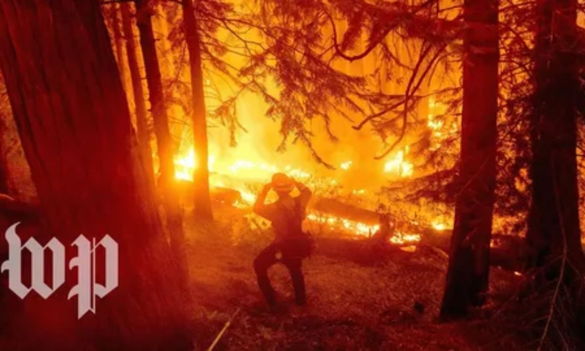 The Impact of Climate Change on California's Wildfire Season