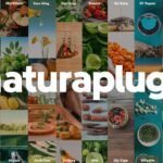 Exploring Naturaplug.com: Your Gateway to Natural Health and Sustainable Living